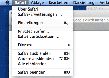 Abbildung im Browser Safari